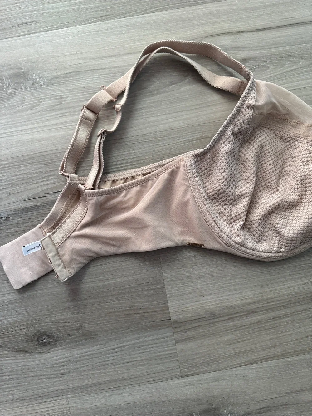 Chantelle Unlined Sheer Mesh Bra in Light Blush